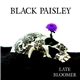 Black Paisley - Late Bloomer